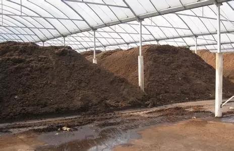 将进一步筑牢粮食安全基石