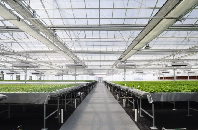 请立即上交公安机关