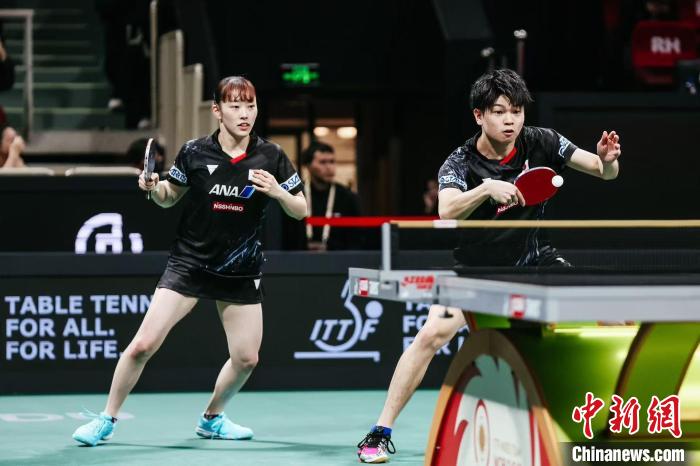 日本乒乓球队主教练：与中国顶尖选手对阵是宝
