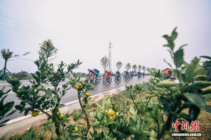 2025环漳河国际公路自行车赛开赛 国际车队齐聚荆